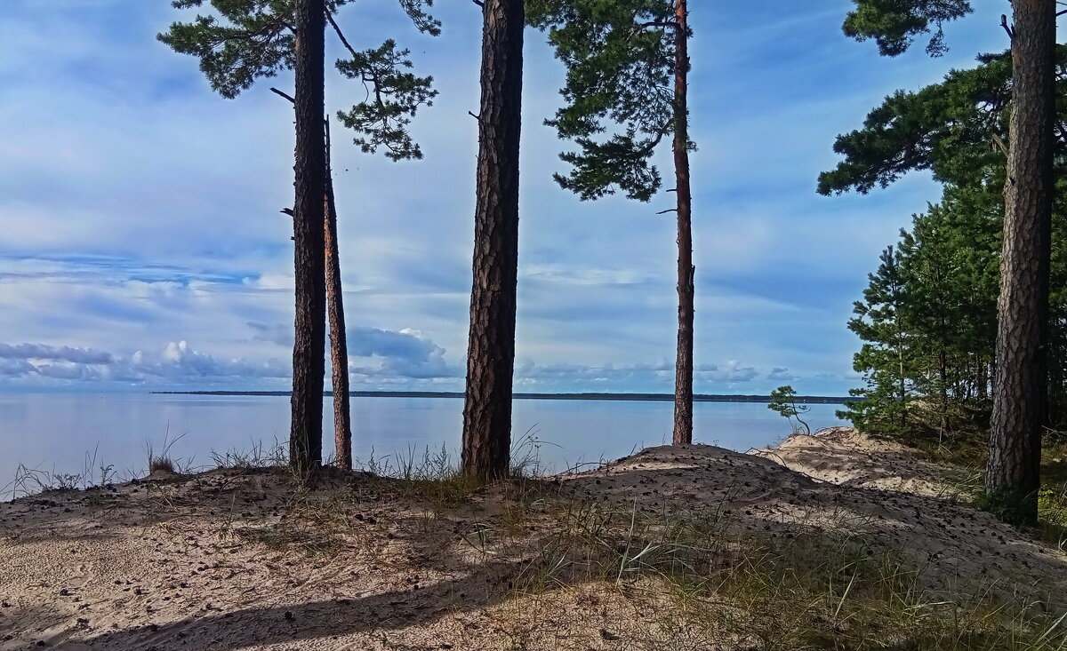 Хороший день .. - Татьян@ Ивановна