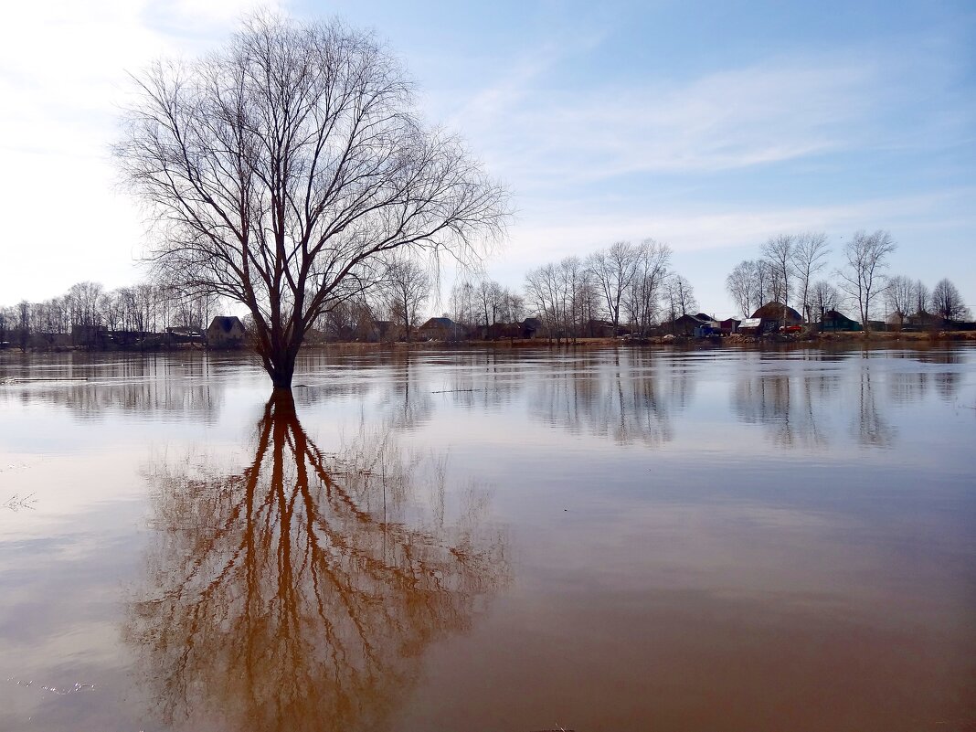 Разлив реки. Апрель - Наталья ***