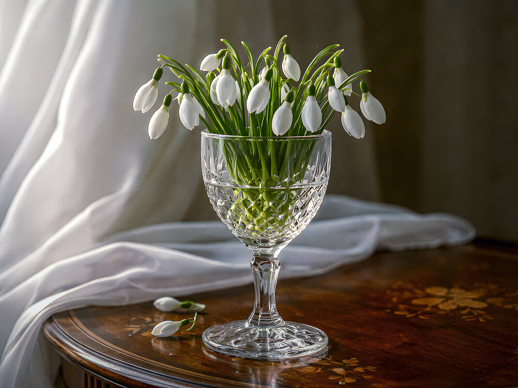 Подснежники - Aleksey Afonin