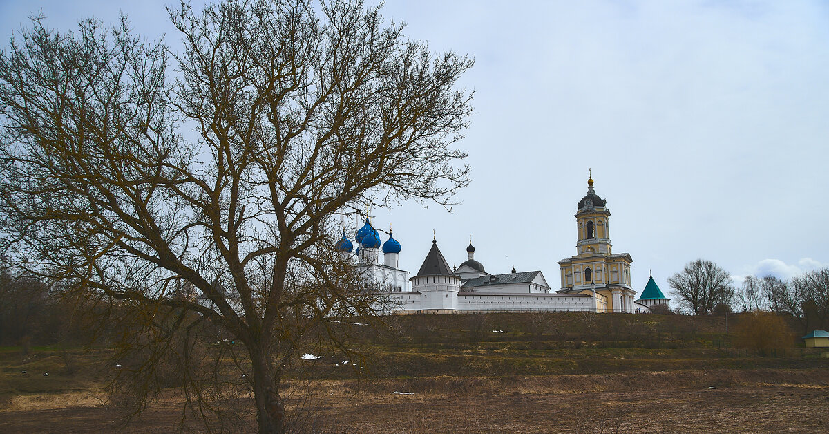 Высоцкий Зачатьевский мужской монастырь - Sergey Gorelov