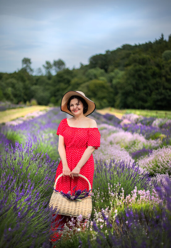 лавандовое наслаждение - Алёна Голодюк