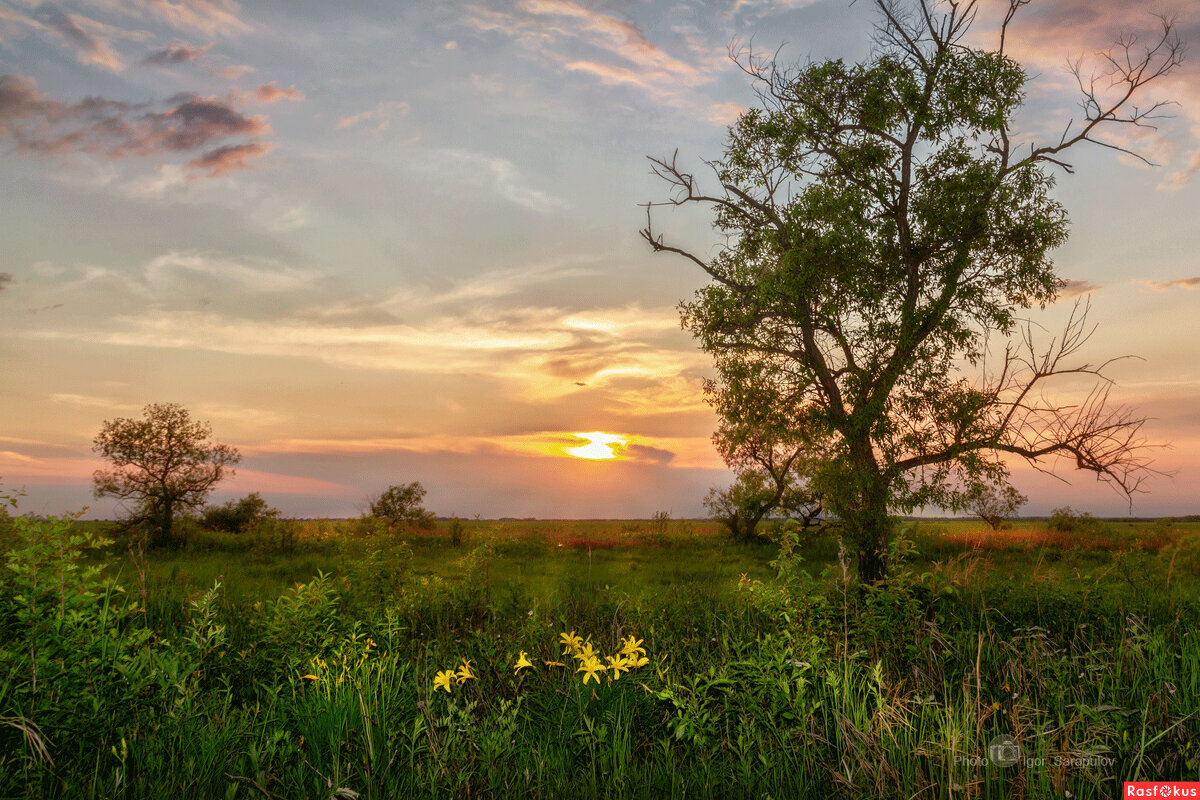 Симфония заката в Приамурье - Игорь Сарапулов