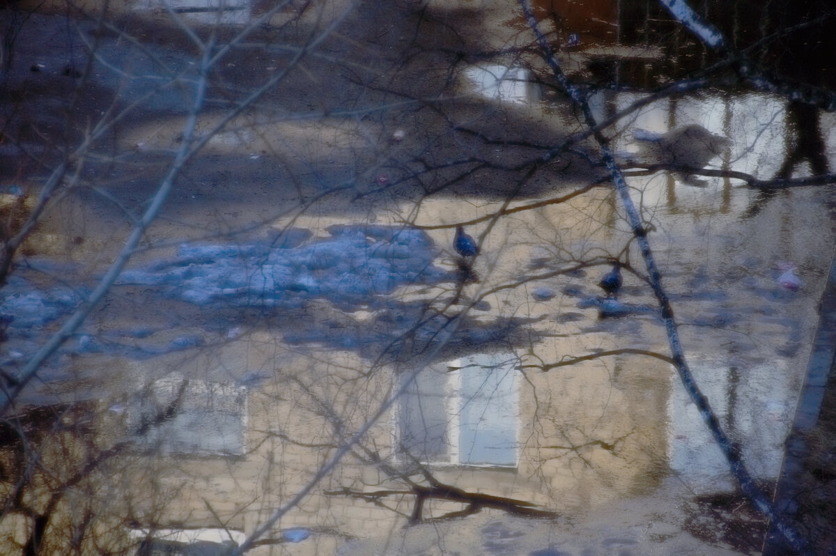 Весна во дворе - Сергей Сергеев