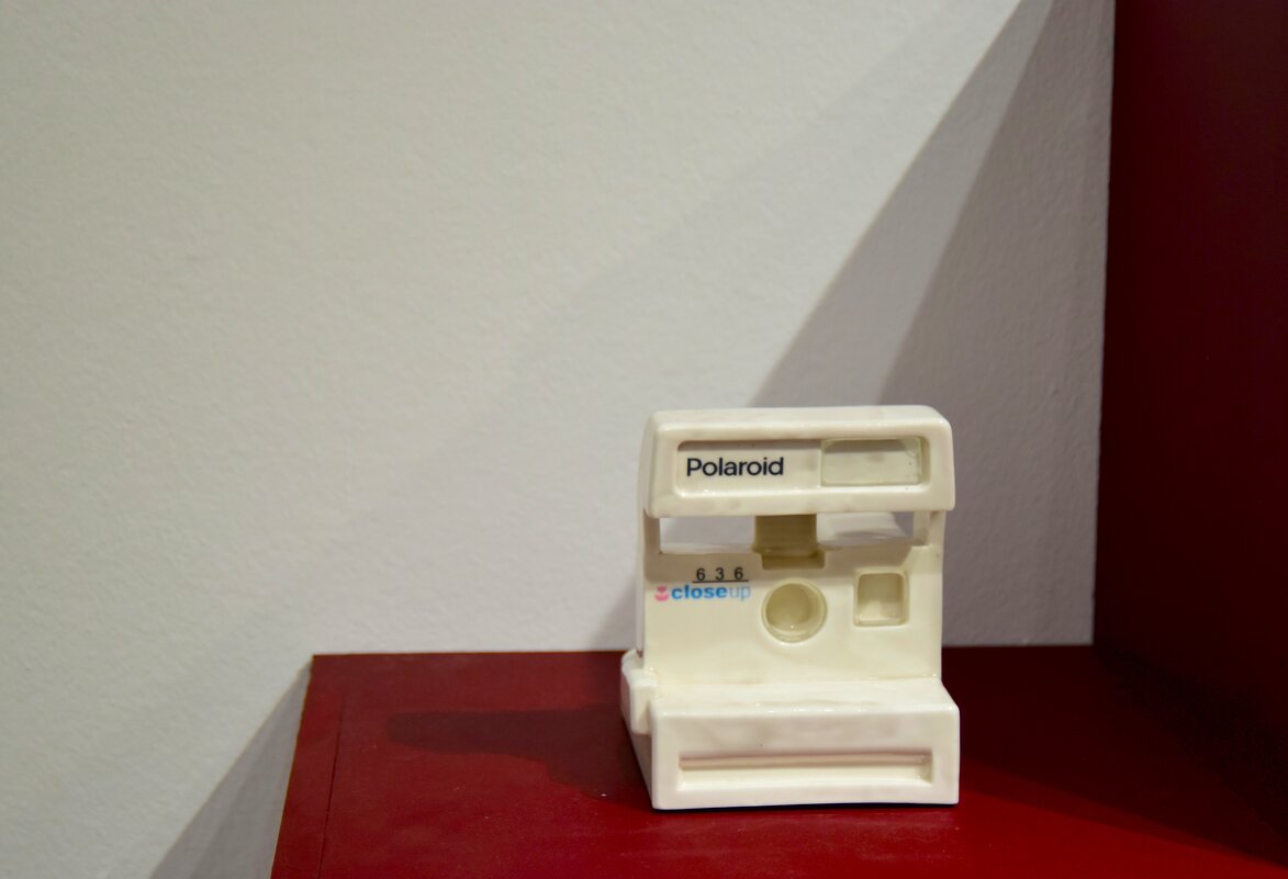 Полароид. - Наталья Вязигина