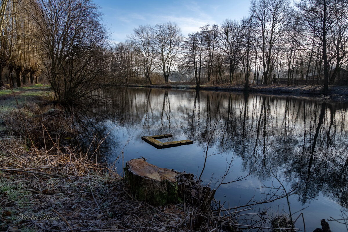 В январской прохладе... - Николай Гирш В январской прохладе... - Николай Гирш