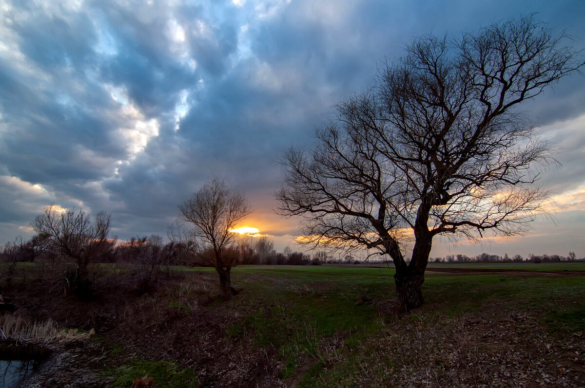 Весеннее пробуждение... - Дина Евсеева