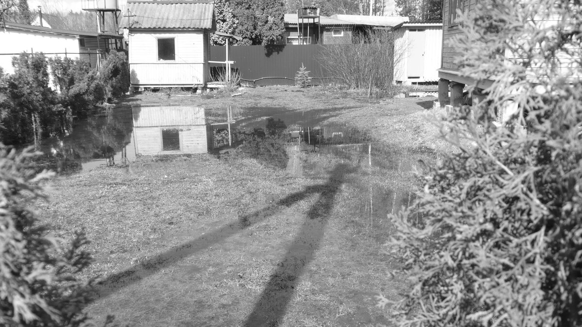 Мечты о ч/б Лейке 88э - Михаил Елочкин