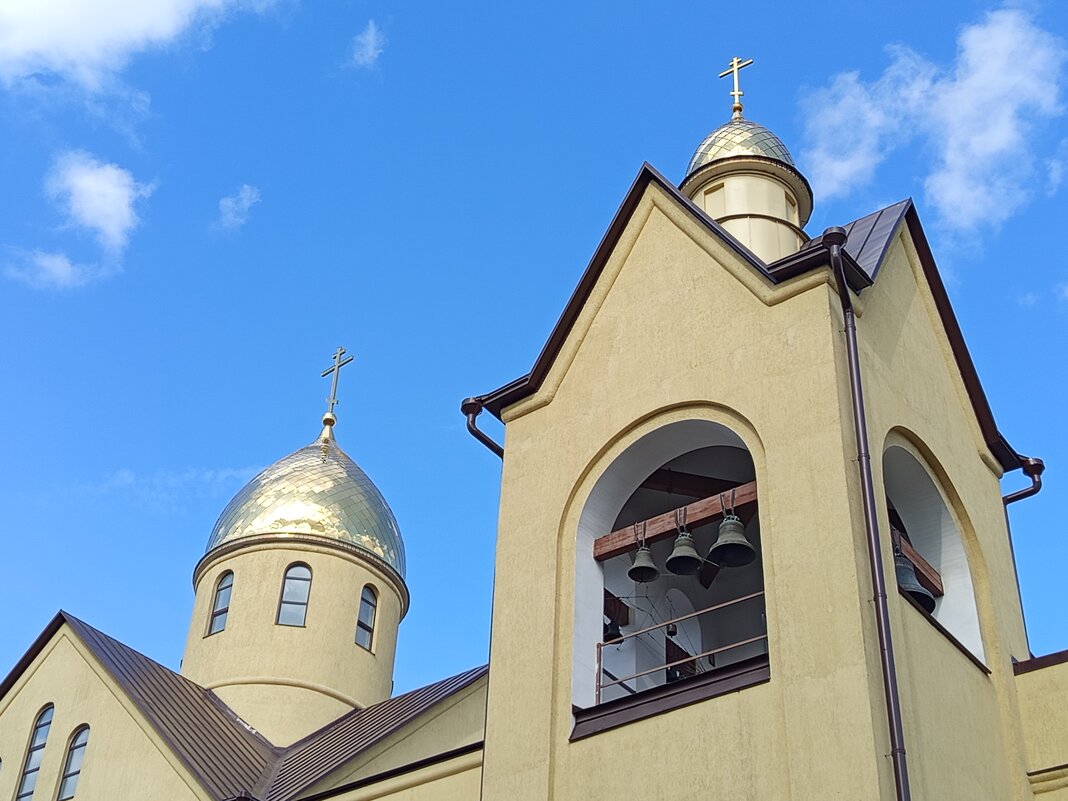 Накануне Вербного Воскресения - Андрей Лукьянов