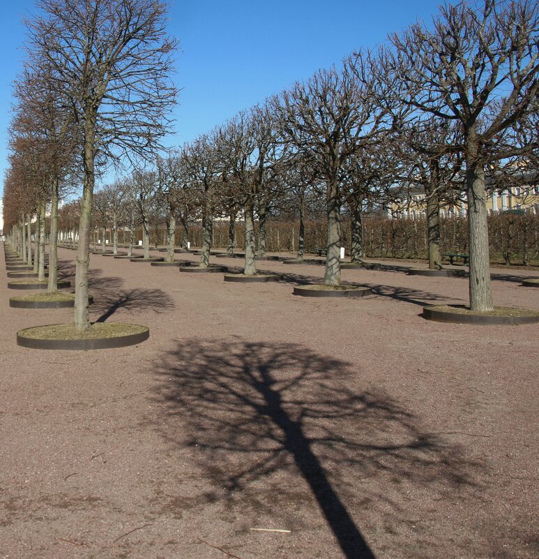 Петергоф. Верхний сад. Апрель - Наталья Герасимова