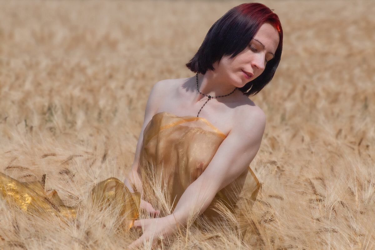 Время созревания ржи - Valziwa Время созревания ржи - Valziwa