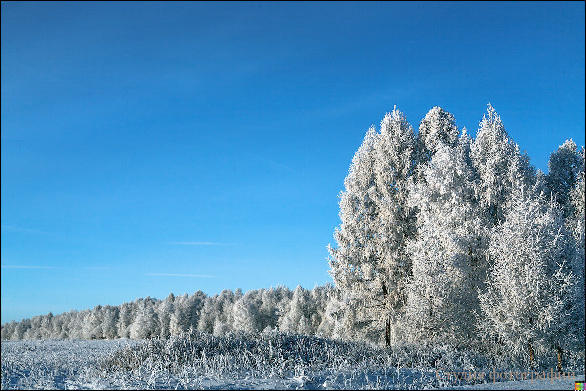 Всё в инее - Студия фотографии