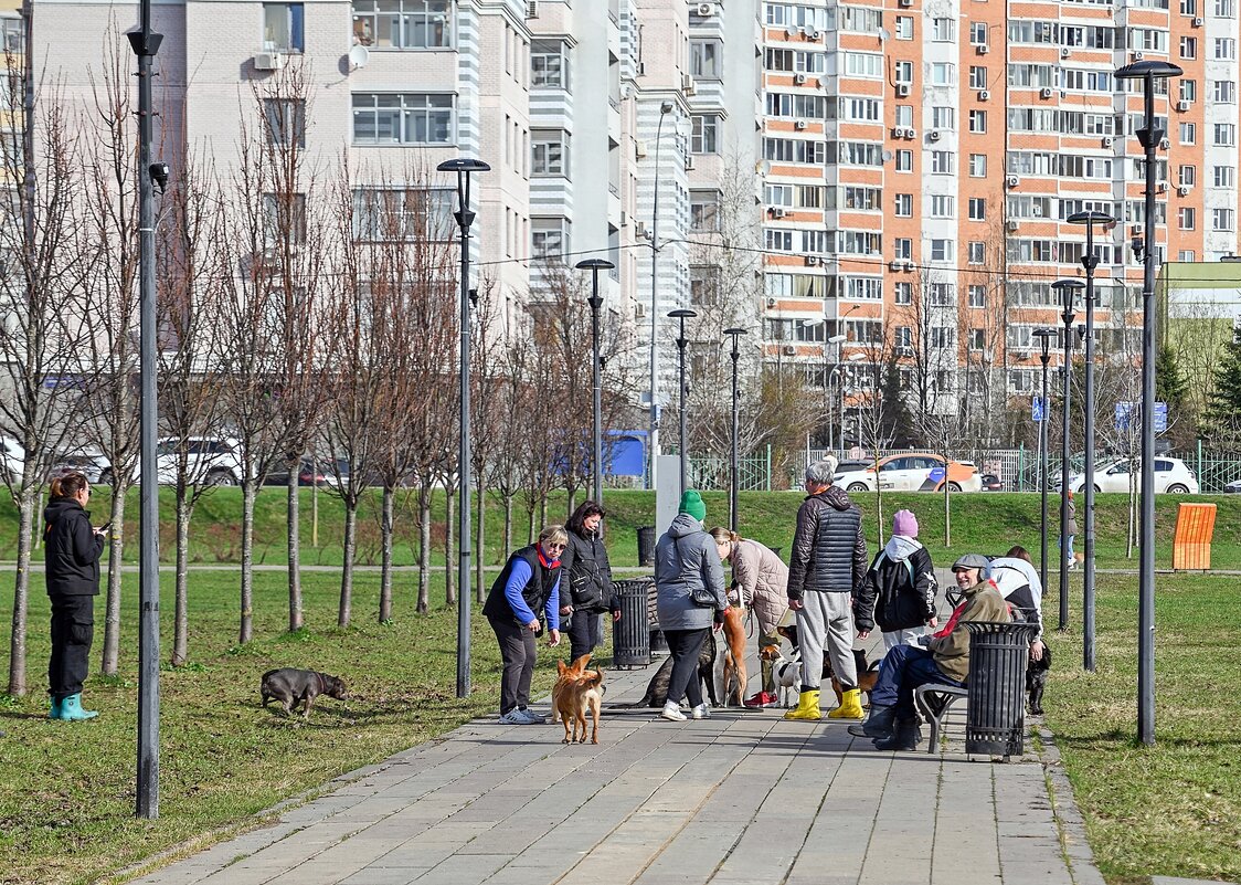 Собачники - Валерий Иванович Собачники - Валерий Иванович