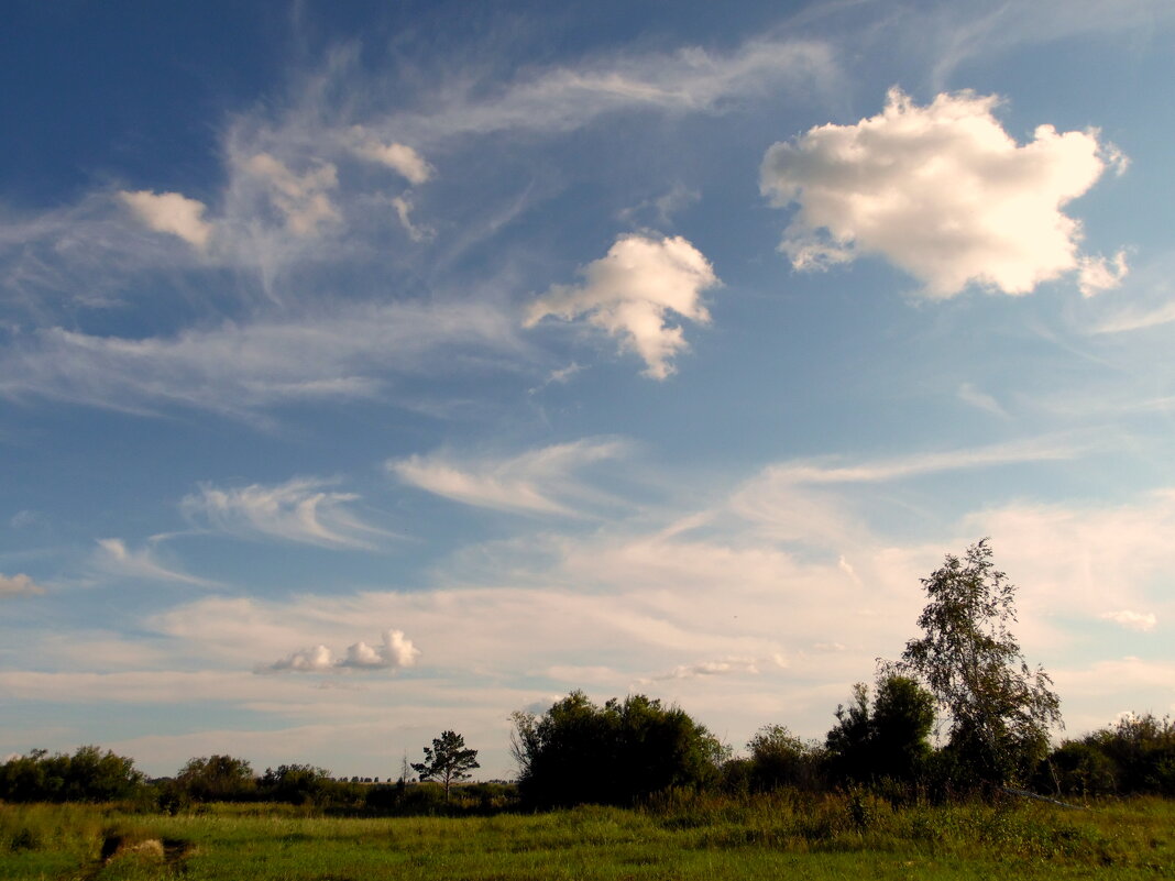 Облака,облака.Лёгкие,пушистые... - nadyasilyuk Вознюк Облака,облака.Лёгкие,пушистые... - nadyasilyuk Вознюк