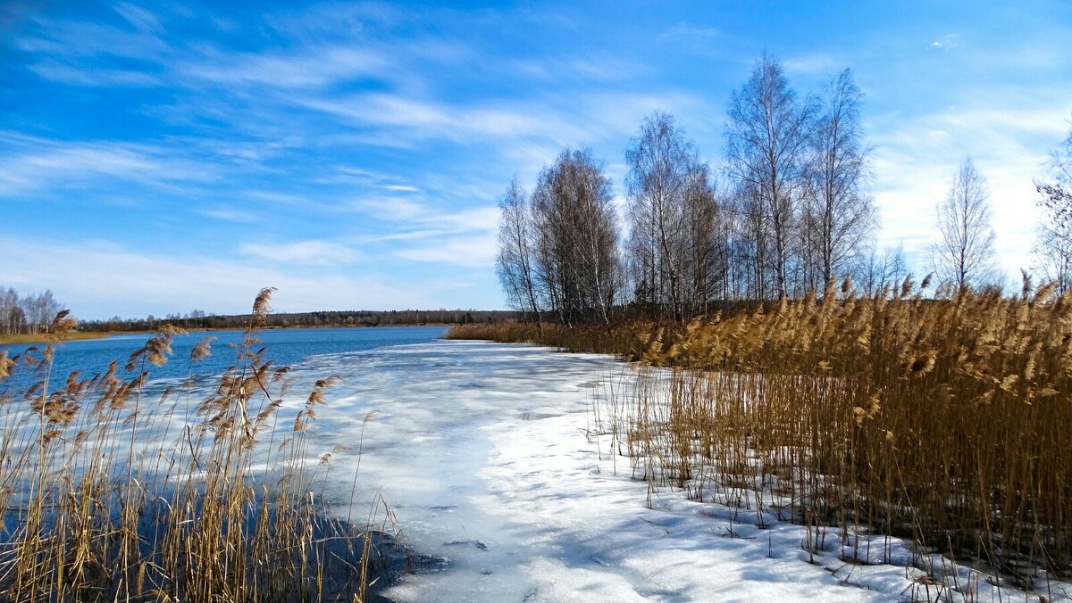 Весна в начале апреля. - Милешкин Владимир Алексеевич Весна в начале апреля. - Милешкин Владимир Алексеевич