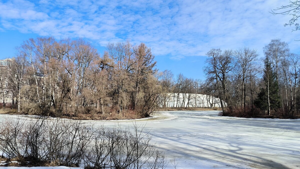 Март на Елагином острове. - Ольга 