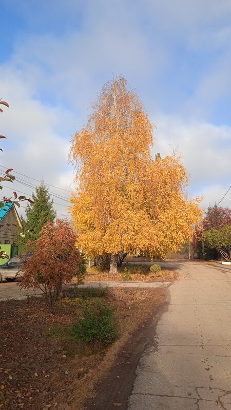 октябрь - Елена Шаламова