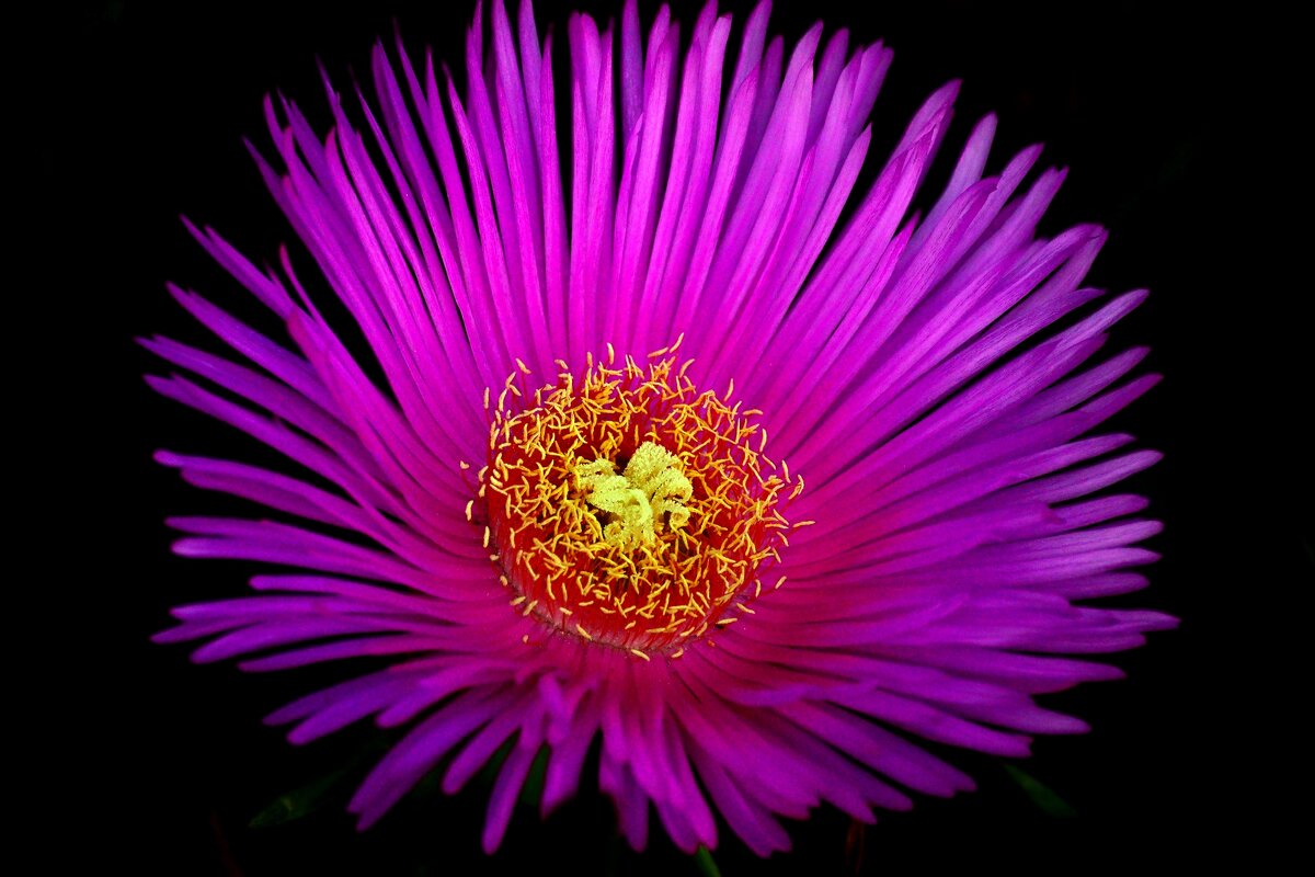 Доброе утро - Юрий. Шмаков