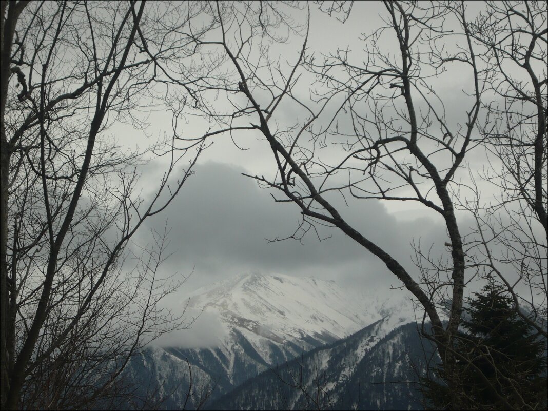 Зима в горах! - Надежда Зима в горах! - Надежда