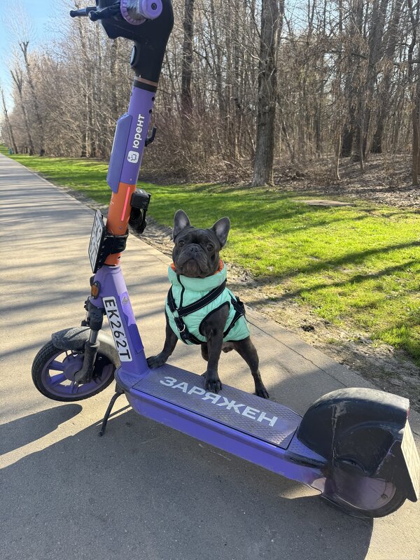 Заряжен! - Анна Камс