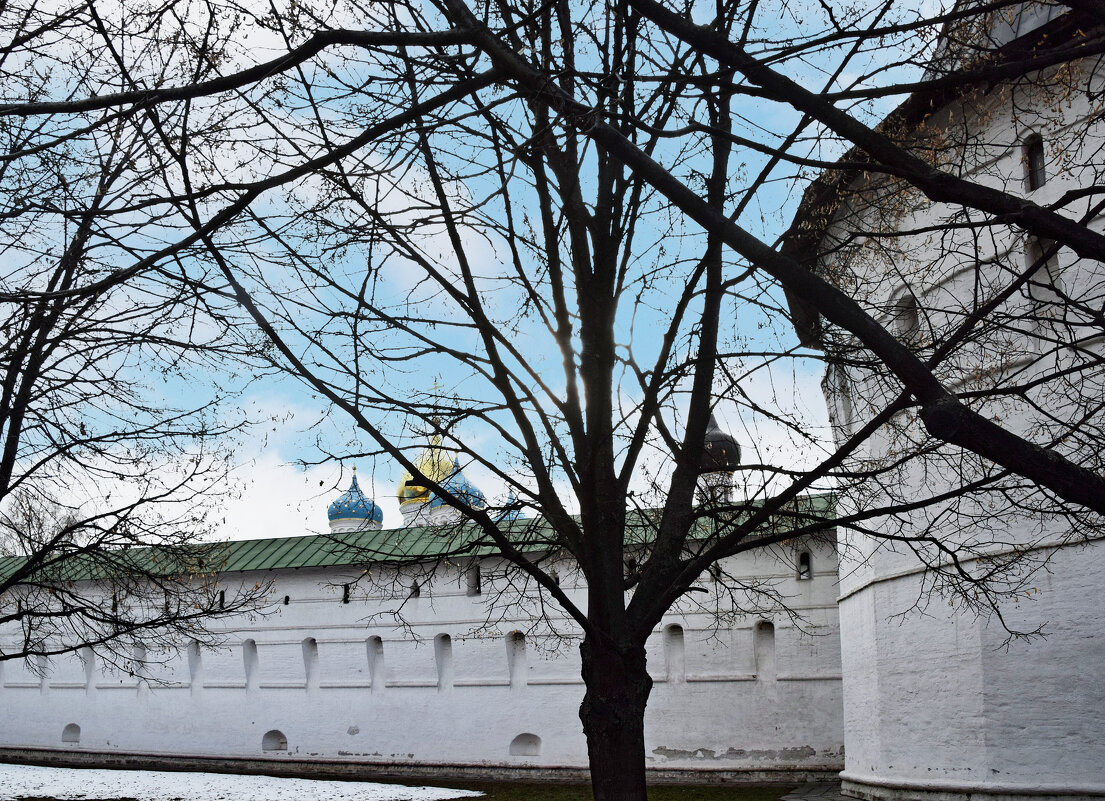 Новоспасский монастырь - Олег Новоспасский монастырь - Олег