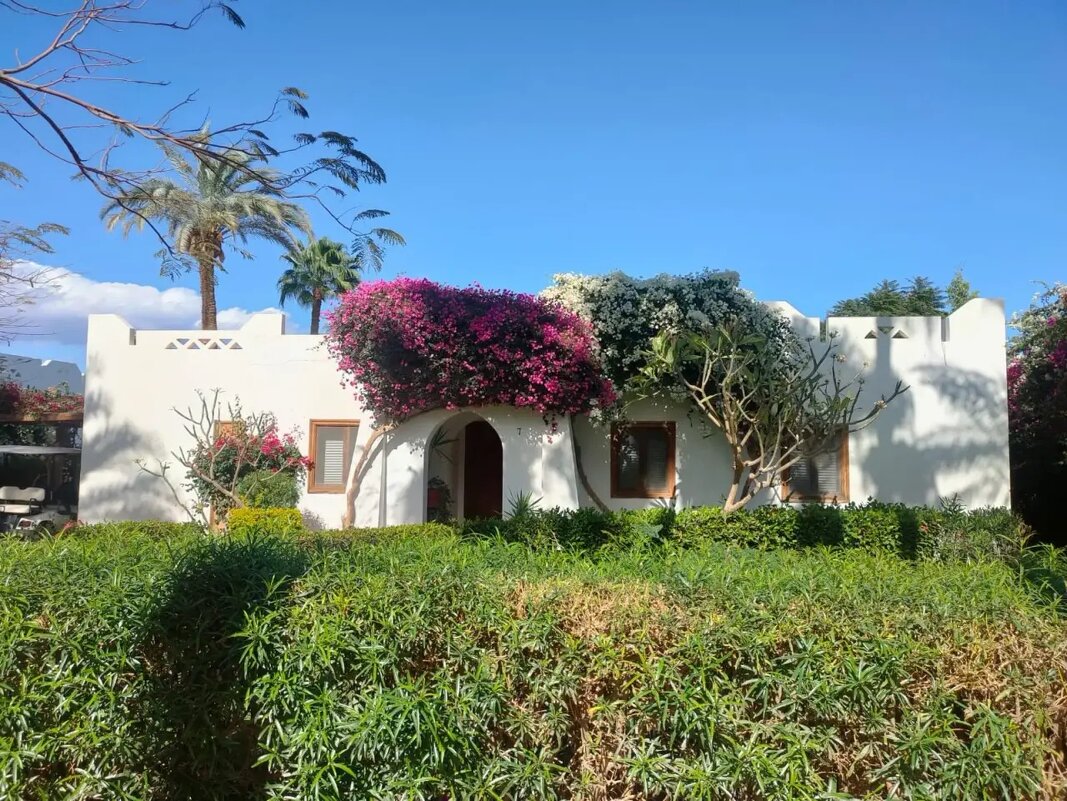 Египет. Шарм-эль-Шейх - Ирэн 