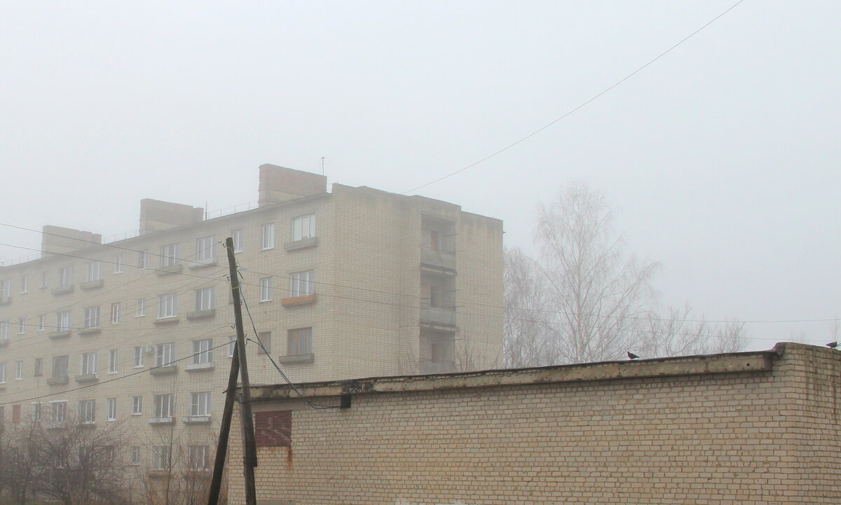 Утро туманное - Елена Минина