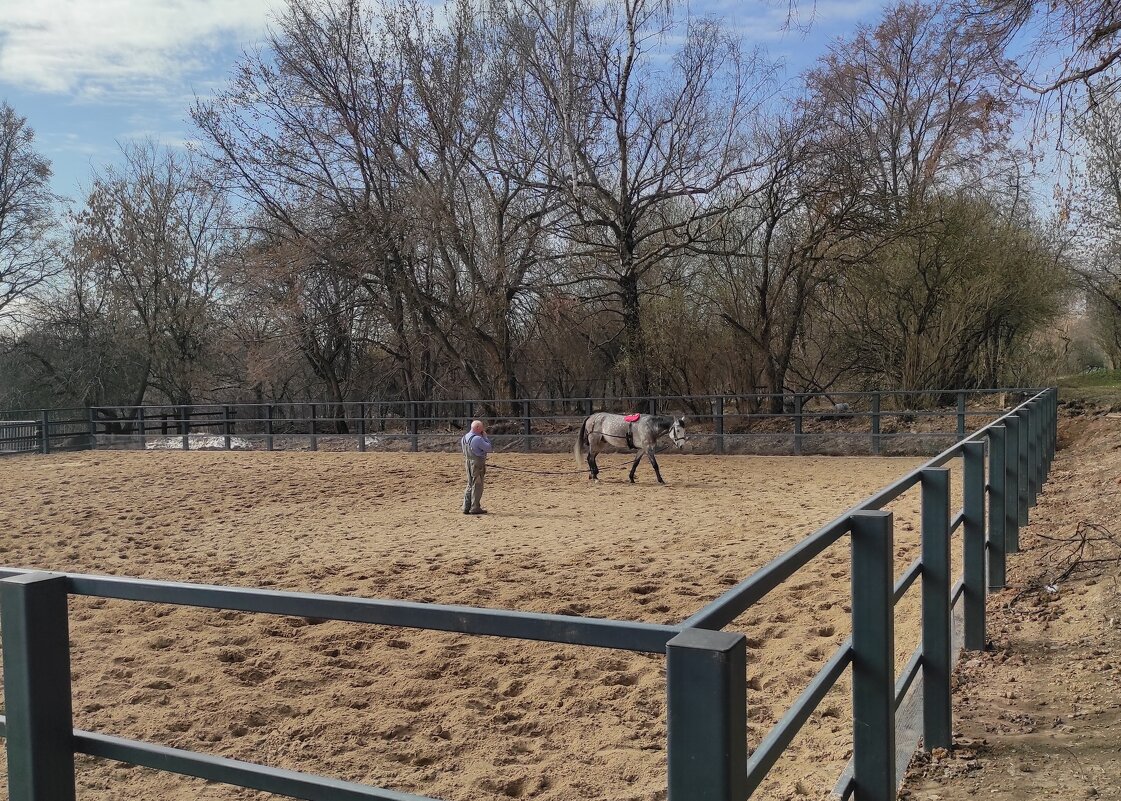 Лошадка - Игорь Ч. Лошадка - Игорь Ч.