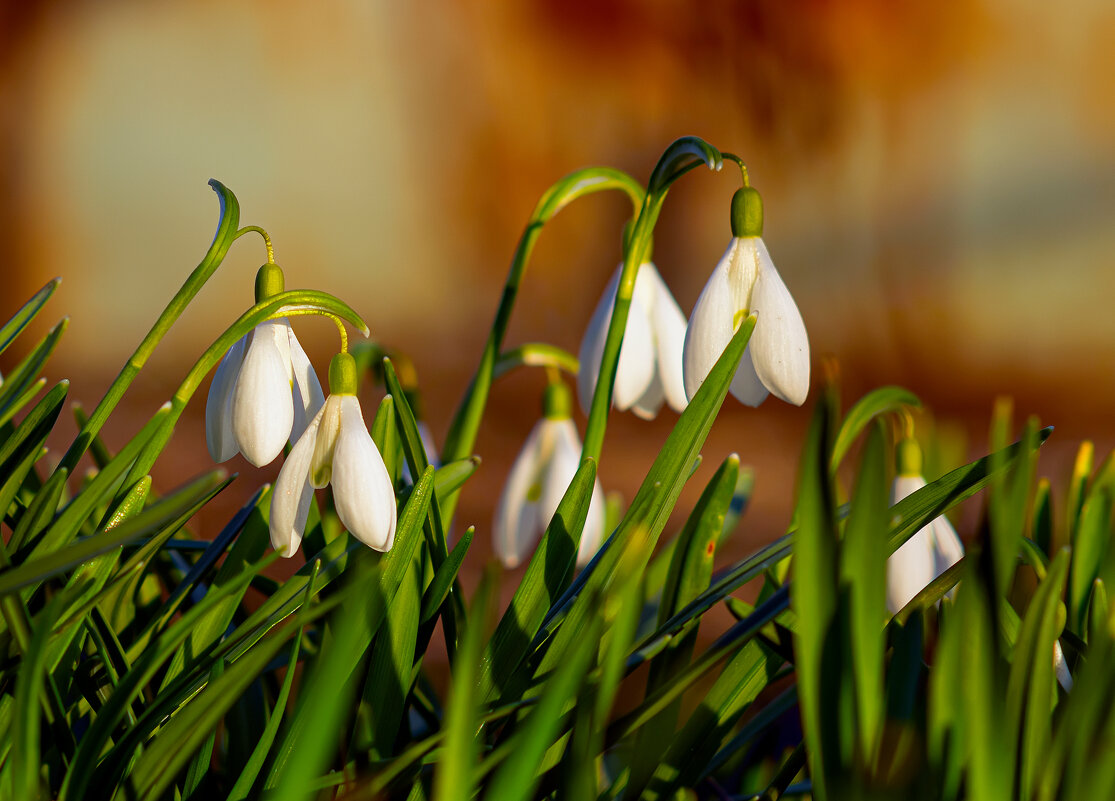 на закате - Виталий Емельянов на закате - Виталий Емельянов