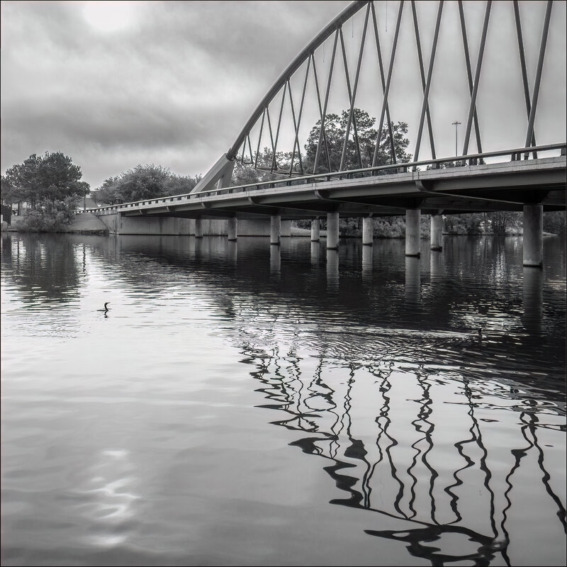 Мост - **** vedin