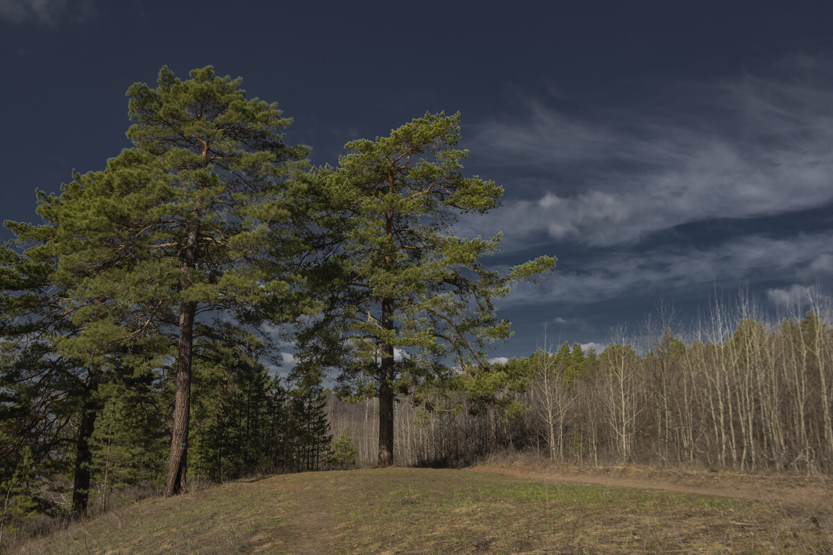 ... - Валерий ... - Валерий