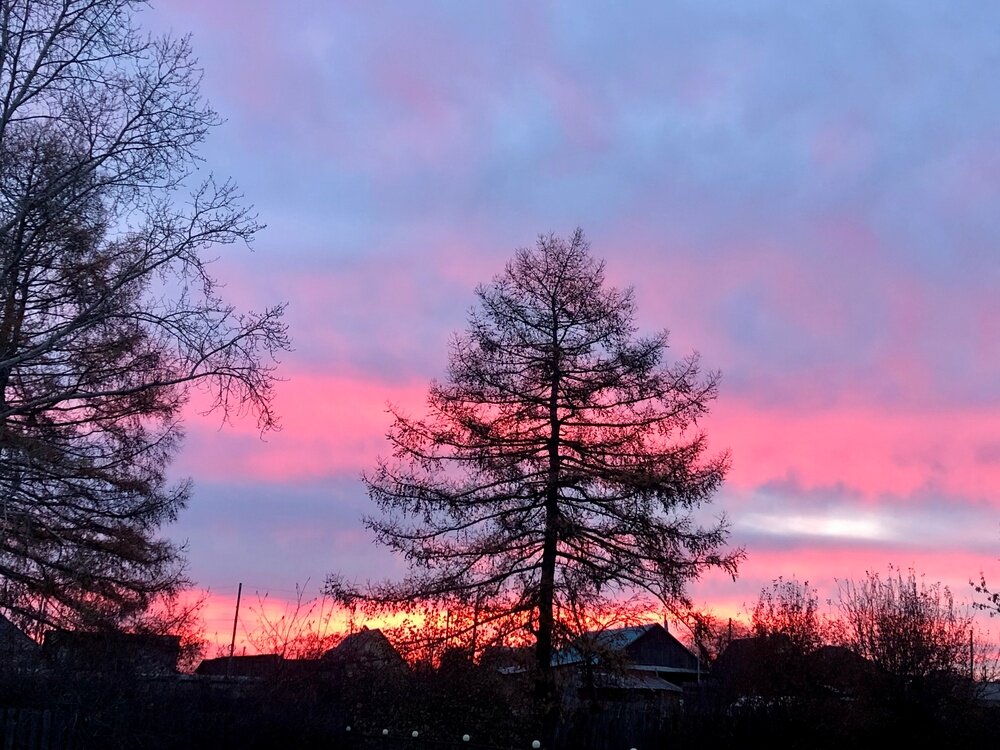 Раннее утро - Ольга 