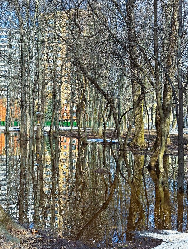 Отражение - Мария - Maria