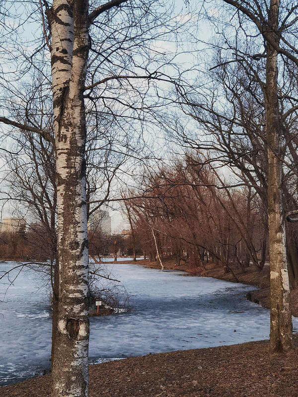 Весенние зарисовки в парке Победы. - Лилия *