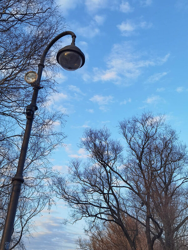 Весна, фонарь, деревья... - Лилия *