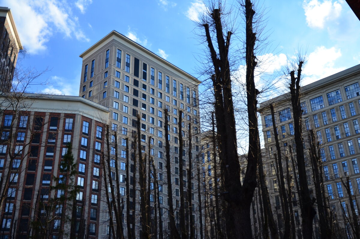 Сочетание. - Наталья Вязигина