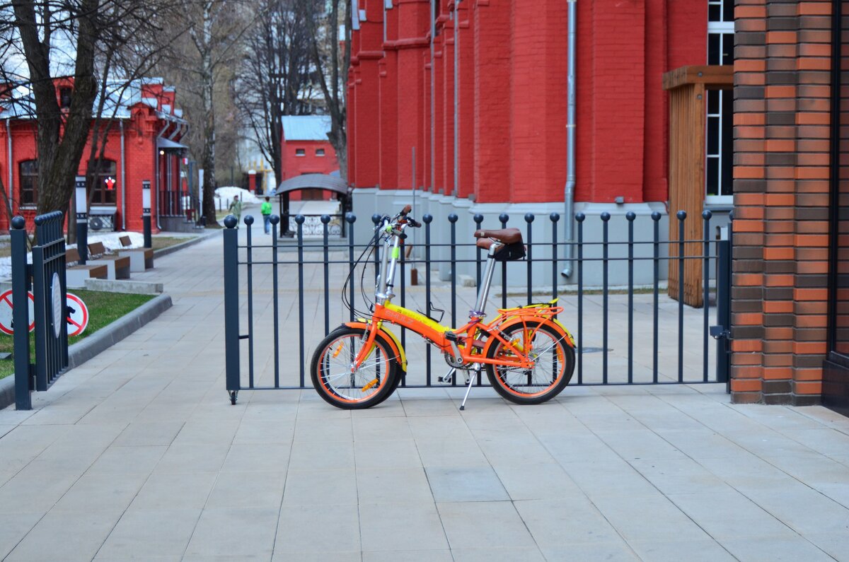 Красивые! - Наталья Вязигина