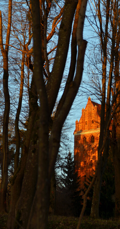 Кирха Нойхаузена. - Константин Белоногов