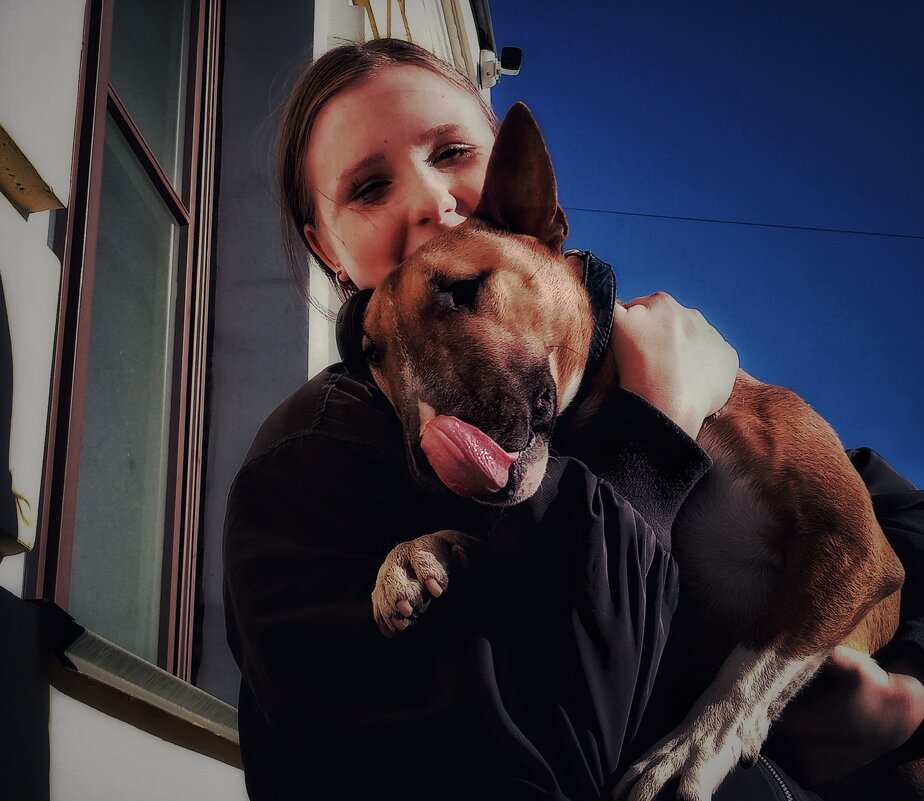 Трагическая история: пёс Зевс сорвался с поводка, мы его поймали - Александр Вадимович Crew smail