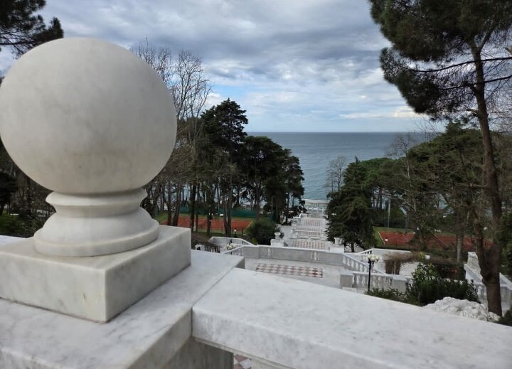 СОЧИ - Tata Wolf