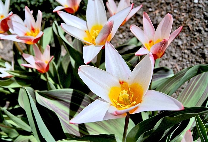 *   *   * - Елена 