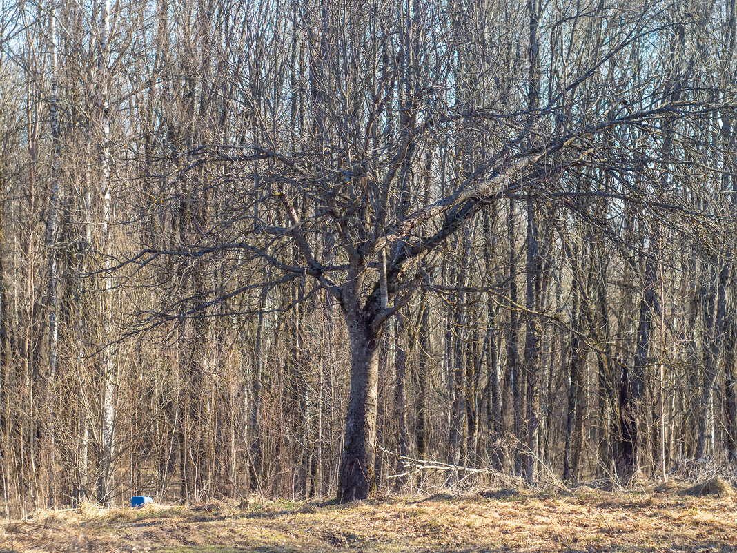 ___ - Yuriy V ___ - Yuriy V