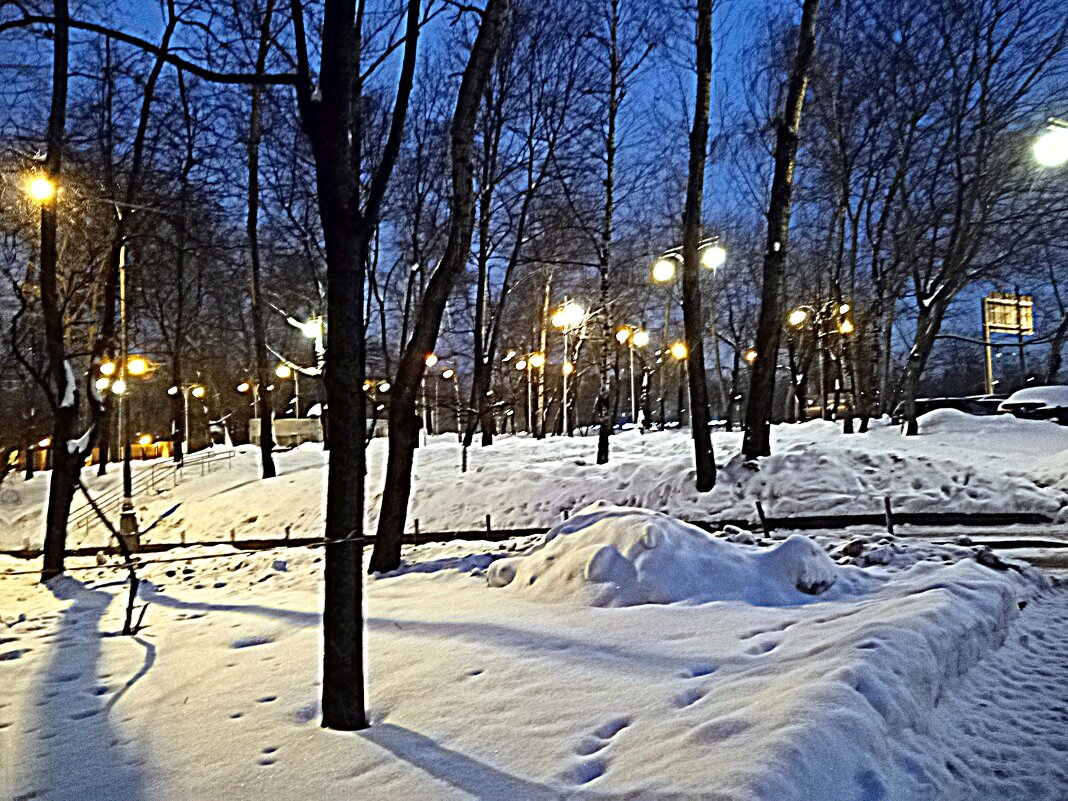 Зима. - Владимир Драгунский