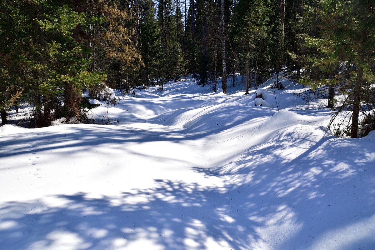 - - Владимир Мигонькин