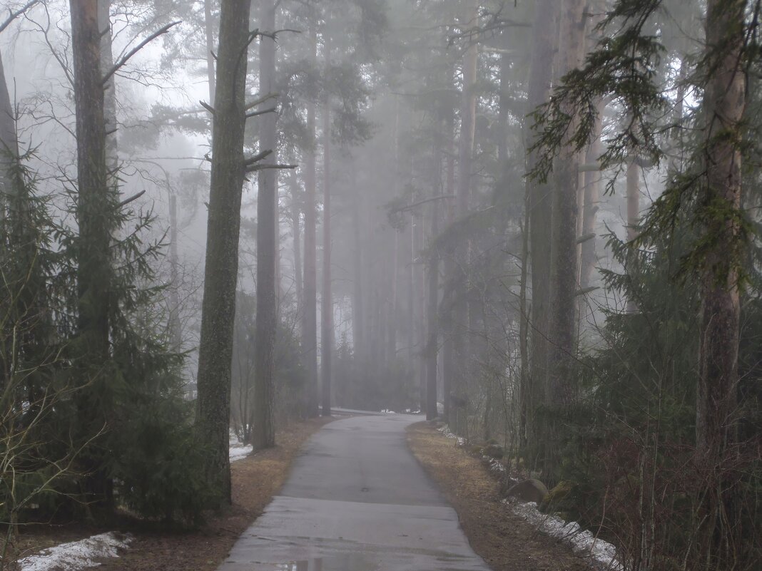 Ещё в лесах белеет снег...... - Юрий Цыплятников
