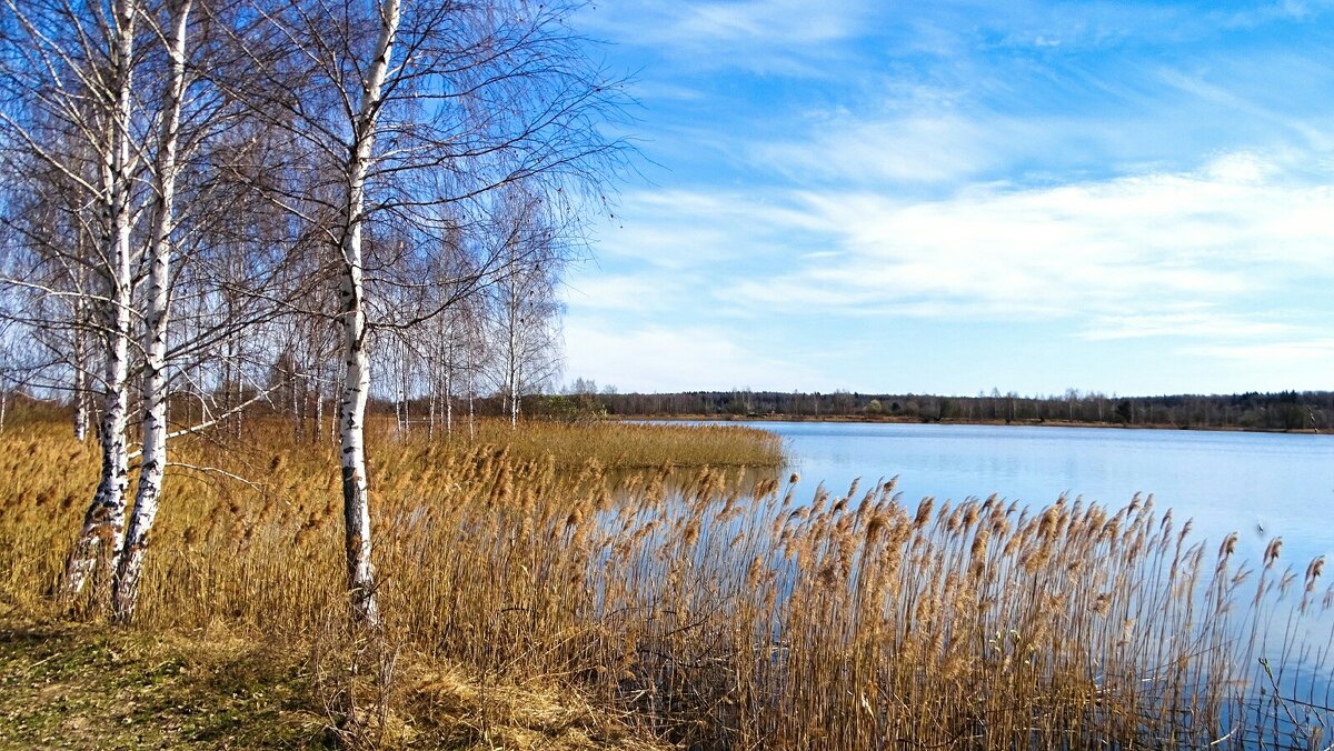 Смоленская весна. - Милешкин Владимир Алексеевич Смоленская весна. - Милешкин Владимир Алексеевич