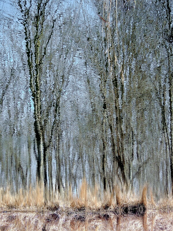 Весененнее зазеркалье - Юрий 