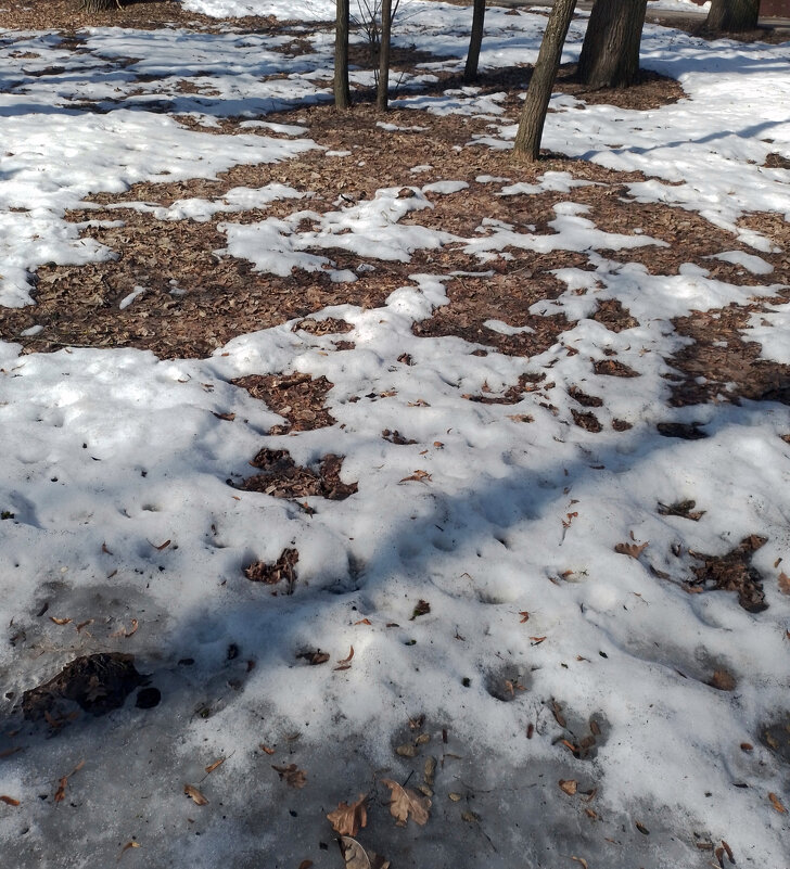 *** - Валентина Береснева