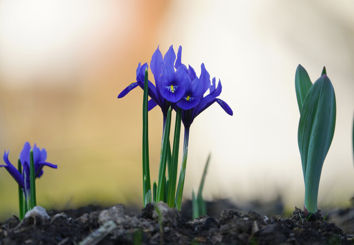 Начало, которое нельзя остановить - Иван Литвинов Начало, которое нельзя остановить - Иван Литвинов