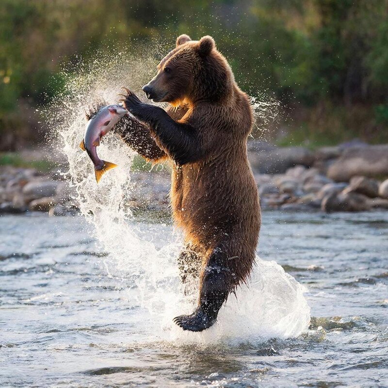 НА РЫБАЛКЕ - СЕРГЕЙ ФИЛОЧКИН