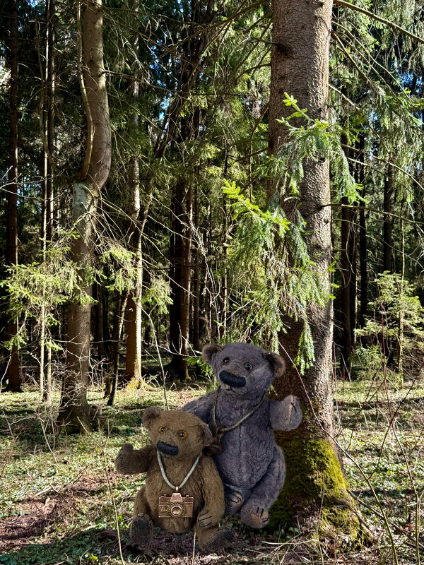 Мишкин лес) - Любовь 